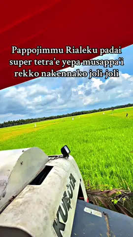 🗿😁#kubotapalupalu #kubotadc70plus #opratormuda_punyacerita #fypシ゚viral 