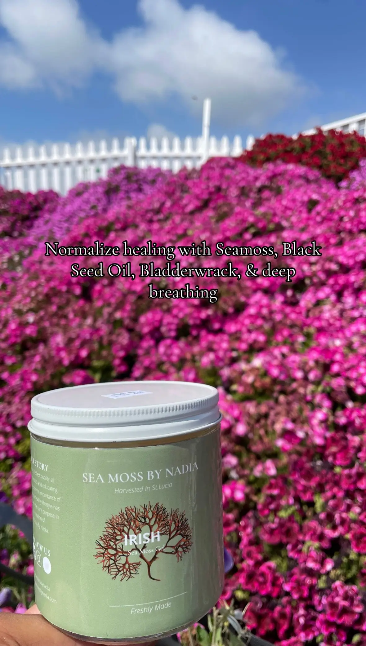 Taking care of your body doesn’t have to be complicated. By incorporating natural wellness allies like Sea Moss, Black Seed Oil, Bladderwrack, and deep breathing, you can support your health, balance, and vitality every day. 💧 Sea Moss – Packed with 92+ minerals, it helps replenish nutrients, support digestion, and promote healthy skin and immunity. 🌱 Black Seed Oil – Known as the “seed of blessing,” it supports your immune system, reduces inflammation, and boosts overall wellness. 🌊 Bladderwrack – A nutrient-rich seaweed that helps detoxify the body, support thyroid health, and maintain energy levels. 🧘 Deep Breathing – Simple yet powerful. Daily mindful breathing helps reduce stress, balance your nervous system, and enhance mental clarity. Together, these natural remedies create a holistic approach to wellness. Make self-care a priority, nourish your body, and normalize the practice of healing from within. ✨