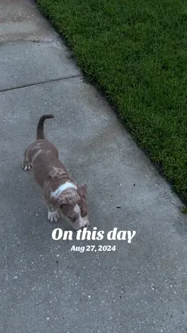 #onthisday 
