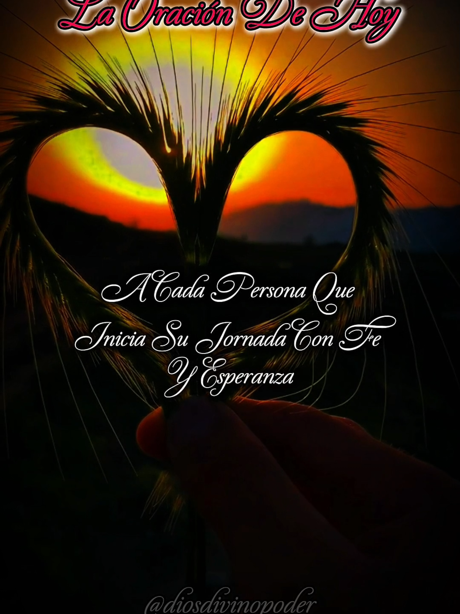 La Oración De Hoy Senor, contigo todo lo puedo #creatorsearchinsights #dios #cristianos #fuerza #poder 