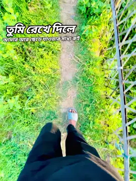 #তুমি_রেখে_দিলে.❤️‍🩹 . . . . #bhojpuri #🌸fayzenteam🌸 #foryoupage @TikTok 