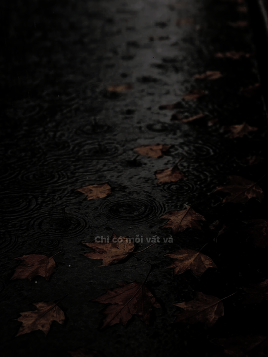anh không như người ta  #fpyシ  #nhactamtrang #nhachaymoingay  #lyrics  #nvy_065 