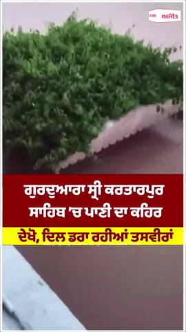 #ਧੰਨ_ਧੰਨ_ਗੁਰੂ_ਨਾਨਕ_ਦੇਵ_ਜੀ #ਧੰਨ_ਗੁਰੂ_ਰਾਮਦਾਸ_ਜੀ #balsinghengland #balsingh 