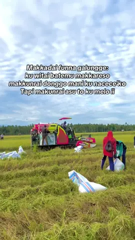 As* toh funna galungnge🤣#fyp #bugissulawesi #soppeng #petanimuda #kubotadc100x 