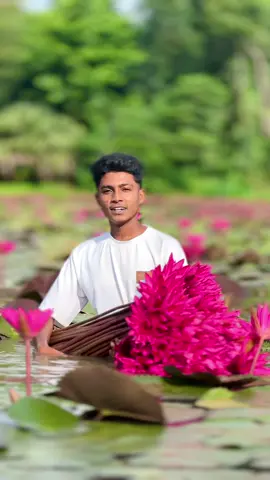 Hea💓#foryoupage❤️❤️ #bdtiktokofficial🇧🇩 #bdtiktokofficial @surjo0143 @sifat taj @▪️ রবিন হুড ▫️ @al.amin.taj3 @Rafi shikder 