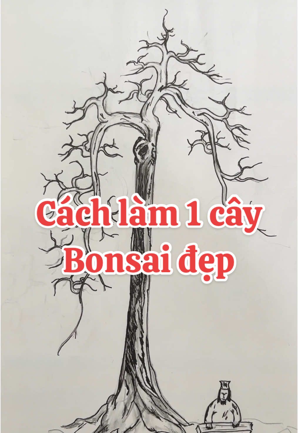 ai cần em demo giúp thì nhắn tin cho e nhé. em chỉ lấy công bằng ly cafe đá thôi ạ. #hieuyeucay #bonsaimini #bonsai #bonsaivietnam #bonsaivn #câycảnh #demobonsai #bonsaitree #sinhvatcanh #huongdanlambonsai #demo #caykieng #bonsaidep #bonsaidepvietnam #bonsailinhnam #caycanhnghethuat #caycanhbonsai 