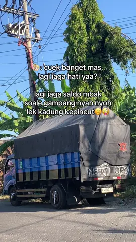 😖🤣 #fyp #drivermuda #maulidatrans #juraganmacaksopir #lewatberanda 