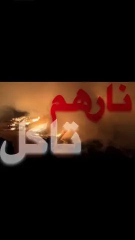 نارهم تأكل حطبهم الي خانوني بعشقهم!.#اغاني_عراقيه #اغاني_مسرعه💥 #عراقي_مسرع💥 #fyp #اغاني 