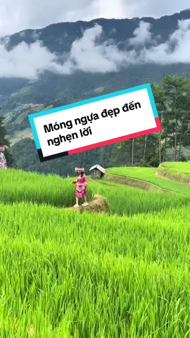 📍🏔️Lưng đèo sương phủ mờ xa, phía trước là Móng Ngựa đẹp đến nghẹn lời #lyhumucangchai #mucangchai #dulichmucang #traveltiktok #reviewdulich 