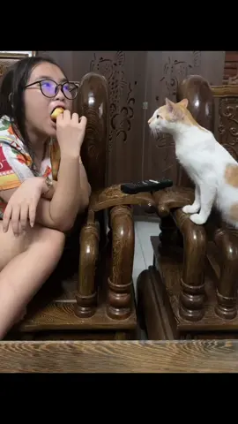 Rầu tới luôn #meo #iumeo #iudongvat #chịukhôngchịuthìthôi🥴 