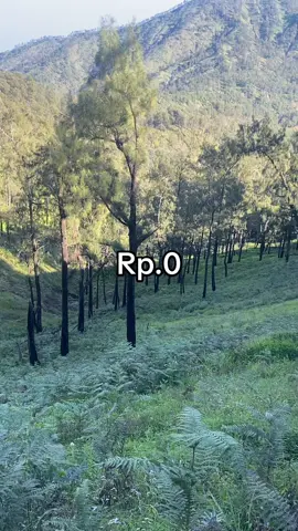 #fyp #pendakigunung #buthak_2868_mpdl #viral #malang24jam 