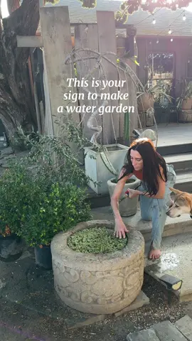Instant water garden