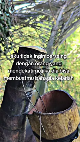 #trendingvideoviral#penyadap aren#gula merah#sinjaipride🏝️🔥 