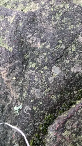 #ຢູ່ກັບທໍາມະຊາດ⛰🏞🌿⛺️🛵 