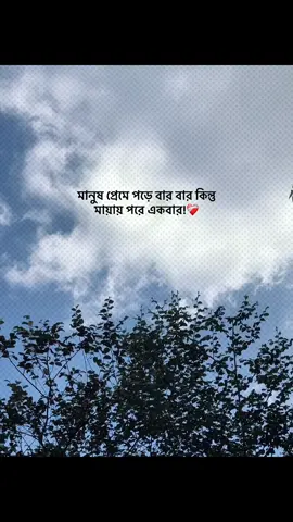 মানুষ প্রেমে পড়ে বার বার কিন্তু মায়ায় পরে একবার!❤️‍🩹 #foryou #banglacaption #sadcaption #emotionalvideo #fyp 