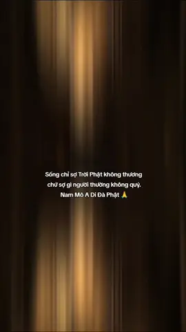 Sống chỉ sợ Trời Phật không thương,chứ sợ gì người thường không quý mình. #nammoadidaphat  #phatphapnhiemmau  #phatphapvobien  #vairal #nhungcaunoihay  
