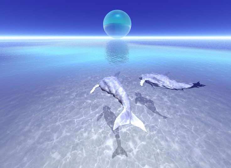 #real #dreamcore #nostalgia #liminalspaces 