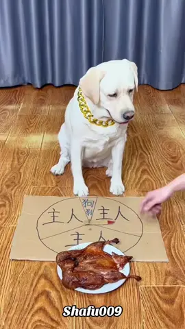 #粉丝一千万#dog#funny#foryou#fyp 