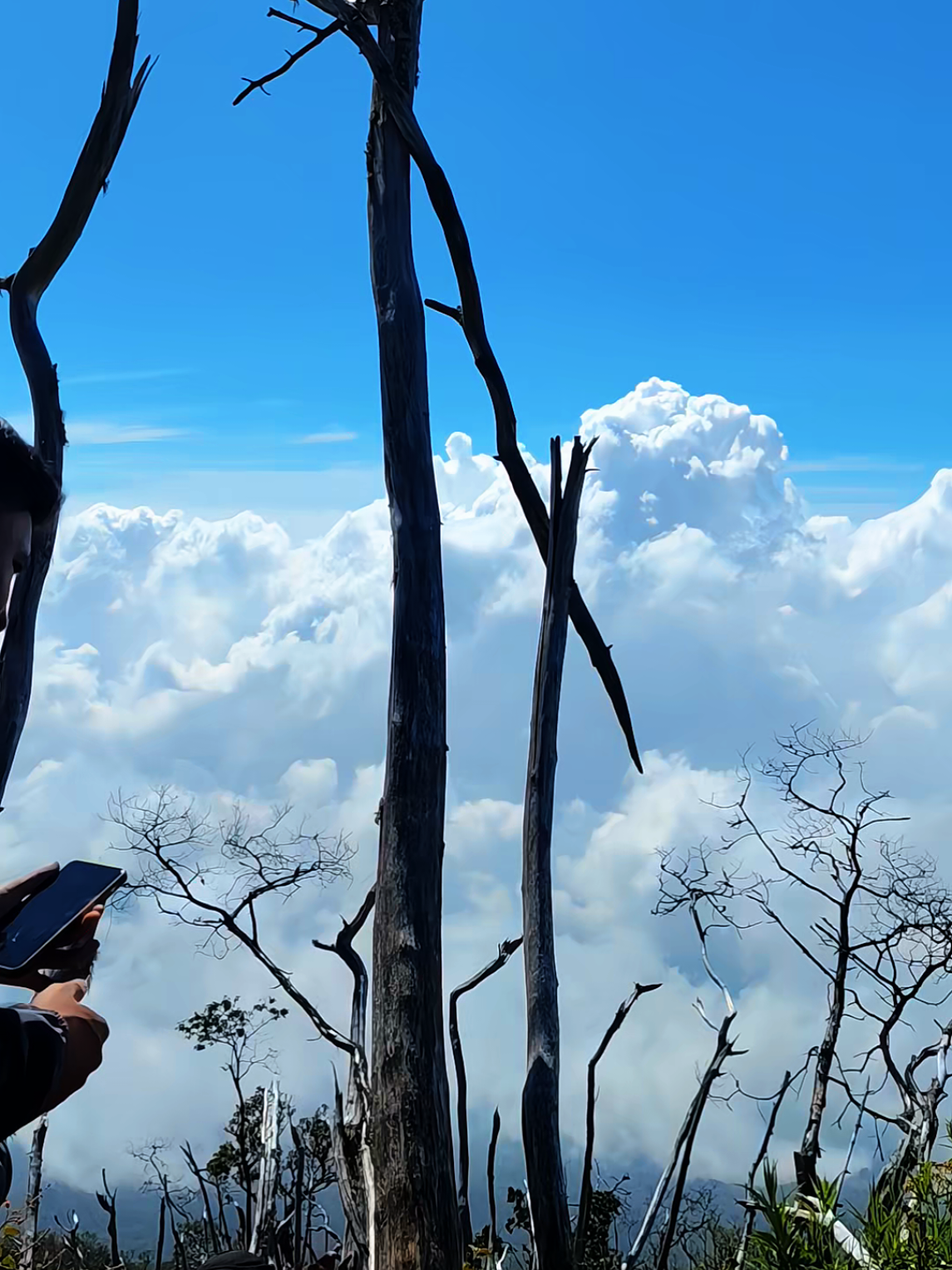 #fyp #gunungmalang #gunungslamet #indonesia🇮🇩 #foryou 