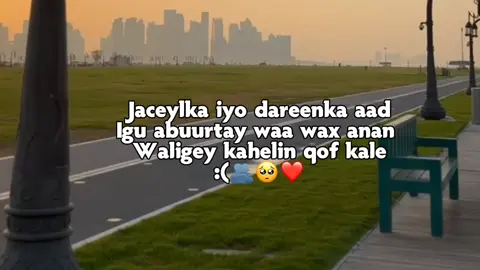 love saar  #viralvideos #veiwsproblem #anas #somalitiktok #foryoupage 
