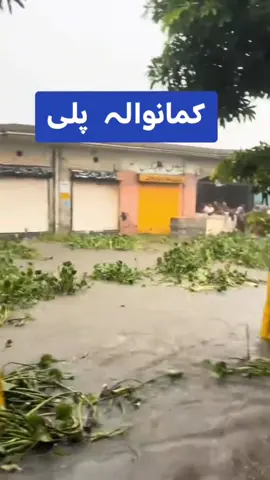 Kammanwla 🥹🥹#سیلاب #kammanwala #dcsialkot #sialkotflood #armghansubhani 