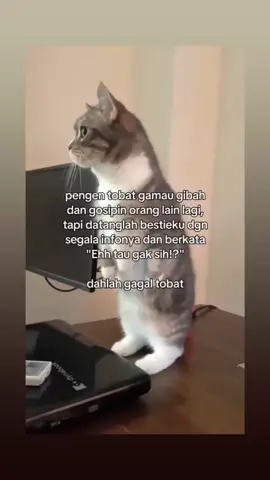 kalakuan budak dua Tah ieu ma nya @bonay @💜 😂😂🙏