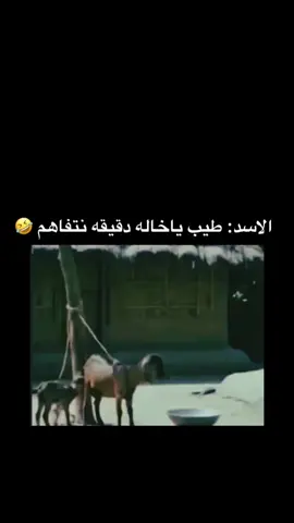 #ضحك #fyp #foryou #اكسبلور #الشعب_الصيني_ماله_حل😂😂 