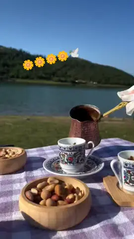 🤍Hayatınıza dokunan insanları  sevin, varlığınızı sezen,  varlığınızla anlam bulan. 🤍Size göğsünde yer açan,  göğsünüzde nefes alan. 🤍Yaranızı iyileştiren,  ağrınıza ortak olan. 🤍Hayatınıza anlam katmayan  kim varsa azad edin gitsin.. Günaydınlar ☕☕🌼🌼🌼🌼🕊️ #tik_tok #kesfetteyiz #kesfet #cap #fypdong 