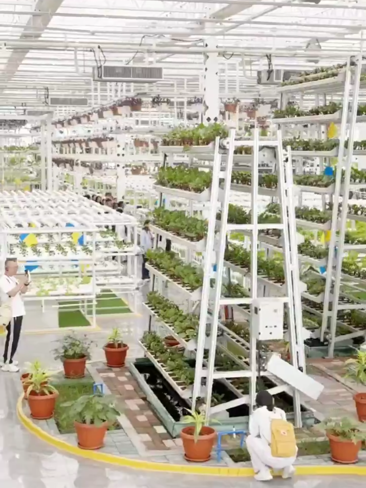 Selline näeb välja tänapäevane põllumajandus Hiina Xinjiangis. Automatiseerimise abil saab moodsas kasvuhoones üks töötaja külvata 43 800 seemet tunnis. This is what modern farming looks like in China’s Xinjiang. With automation, one worker can sow 43,800 seeds in an hour.