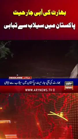 بھارت کی آبی جارحیت پاکستان میں سیلاب سے تباہی #ARYNews #PakistanArmy #Flood #Pakistan #Reels 