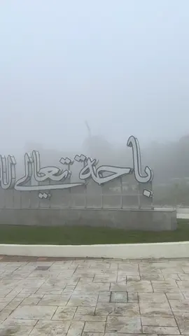 😶‍🌫️#الباحة_الجنوب #رغدان #explore #ضباب #اكسبلورexplore 