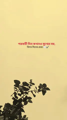 পরবর্তী দিন কখনও সুখের নয়, বিগত দিনের চেয়ে!🤍✔️ #viraltiktok #fufffffffffffffffffffffffffffffffff #support_me #ourvideosarethebest #tiktok 