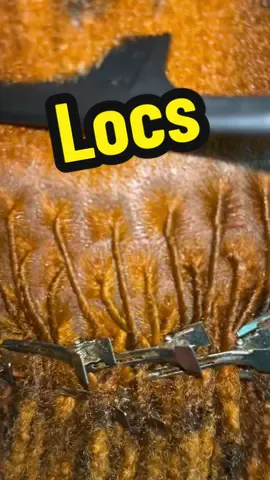 ✨ New Color. Flawless Retwist. ✨ Your locs deserve main character energy — let’s bring them back to life with vibrant color and a retwist that turns heads every time you walk by. 💇🏾‍♀️🔥 📅 Book your transformation today! #LocJourney #FreshRetwist #LocColor #LocCut #LocVibes     
