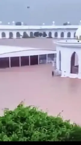 The holy Gurdwara Nankana Sahib, birthplace of Baba Guru Nanak Dev Ji, has been tragically submerged by massive floods in Pakistan. This sacred place, a beacon of peace, equality, and humanity, now stands in the grip of rising waters, affecting not only the local Sikh community but millions of devotees across the globe. The devastating floods have displaced families, damaged heritage, and reminded us of the urgent need for global solidarity. Today, the Sikh Panth and humanitarian voices worldwide must unite to safeguard this shrine and extend help to the people suffering from this climate disaster. Baba Guru Nanak’s message was of love and humanity—let us honor it by standing together in this difficult time. 🌐 Keywords for Search Guru Nanak birthplace flood, Nankana Sahib submerged, Sikh shrine in Pakistan flood, Global Sikh unity, Pakistan flood disaster 2025, Protect heritage #GuruNanak #NankanaSahib #SikhHeritage #FloodInPakistan #PrayForSikhCommunity 