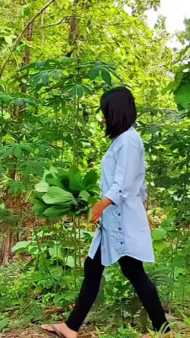 Masak daun singkong