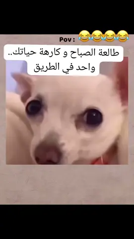 #@عزنا ومجدنا في 🇾🇪🇸🇦🇾 