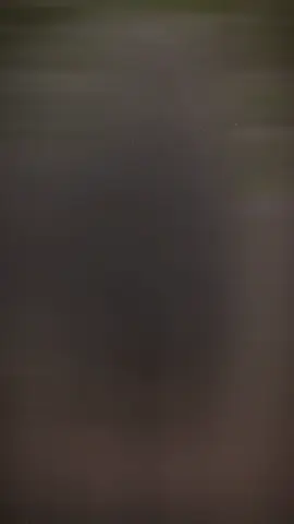 #CapCut ##