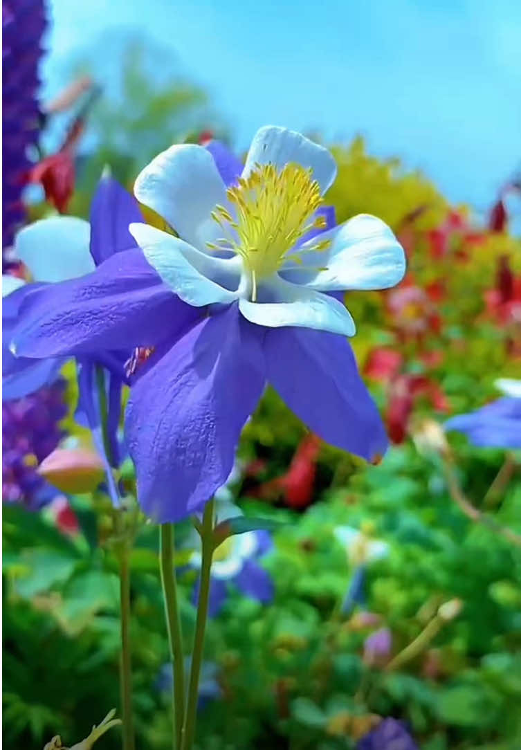 اَلْحَمْدُ للهِ مَالِكِ الْمُلْكِ ، مُجْرِي الْفُلْكِ ، مُسَخِّرِ الرِّيَاحِ ، فَالِقِ الإِصْبَاحِ #العتبة_العباسية_المقدسة #دعاء #دعاء_كميل #ادعية #أجر_الرسالة                      ⁩⁩⁩⁩⁩⁩⁩⁩⁩⁩⁩⁩⁩⁩⁩⁩⁩⁩⁩⁩⁩⁩⁩⁩⁩⁩⁩⁩⁩⁩⁩⁩