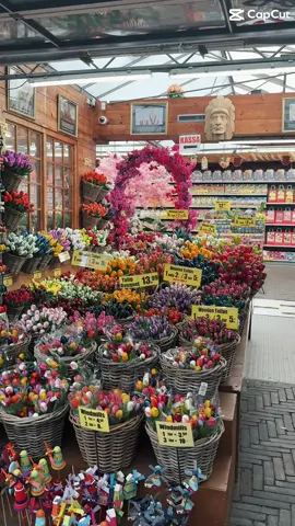 mini blog in Amsterdam 🌷#minivlog #amsterdam #capcut 