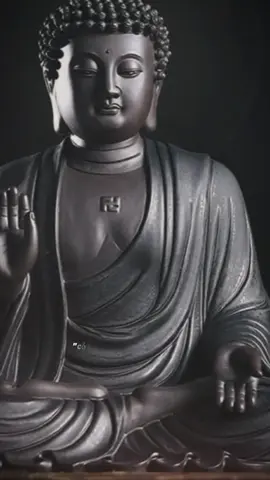 Chúng ta nên kiểm soát cảm xúc của bản thân,khiêm nhường,lễ độ,tôn trọng người khác.#phatphapnhiemmau #phatphap #xuhuongtiktok 