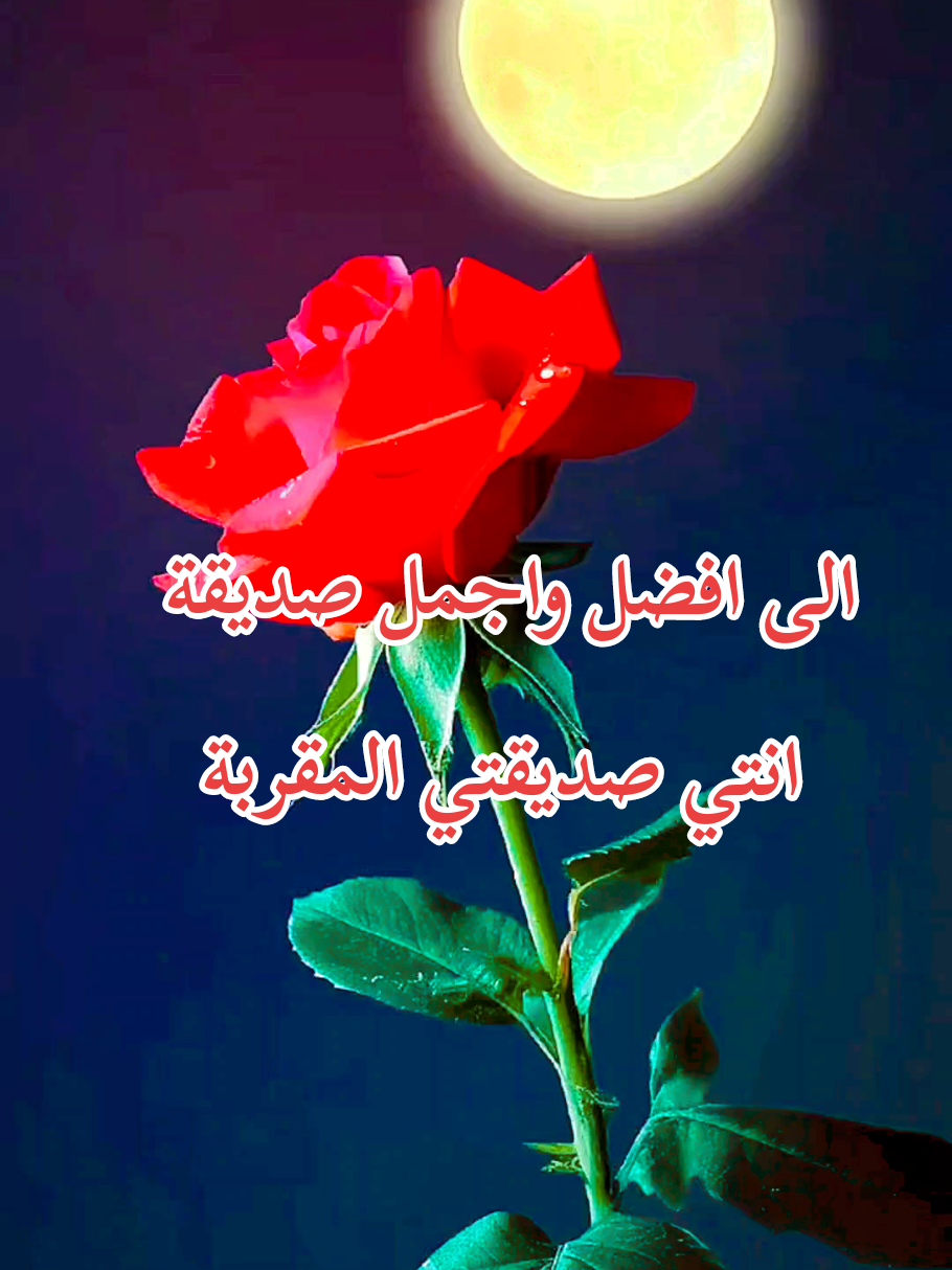 #عبارات_الذئب_المنفرد #فلسفة_العظماء🎩🖤 #فلفسة_العظماء🥀🖤 #فلسفة_الفقراء🎩 #متابعه_ولايك_واكسبلور_فضلا_ليس_امر 