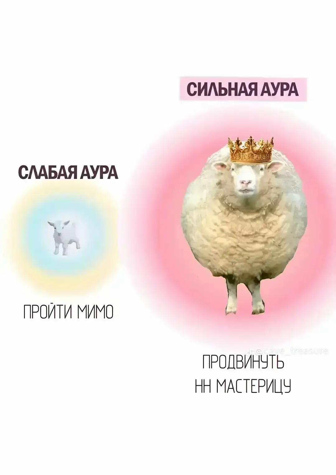 ✨ У моєму магазині Caxapok knits ви можете замовити будь-яку іграшку на ваш смак 🎀 Кожна з них створена з любовʼю та ніжністю, щоб подарувати вам тепло й радість 🌸 🧸 В’язані звірятка 🌷 Чарівні квіти 🎁 Ідеальні подарунки для близьких Замовлення виконую індивідуально ✨ ваша іграшка буде єдиною у своєму роді 🌟 Тгк:Caxapok_knits #рек #амигурумі #crochet 