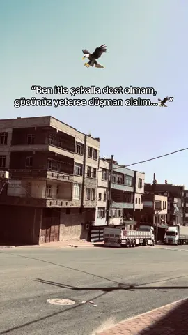 Can dostunu etiketle #storilikvideolar📌 #albunukeşfetetiktok #kesfettttttttttttttttttttttttttttt #şanlıurfaprovince #cumasdf 