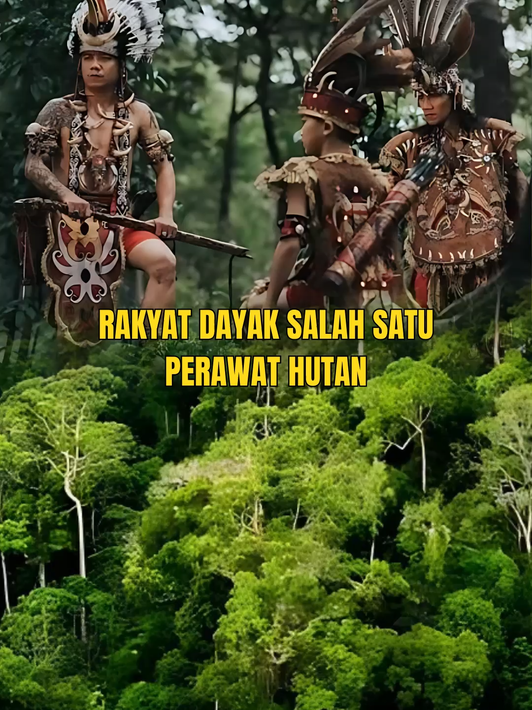 Kecintaan Megawati Soekarnoputri pada alam tercermin dari kepeduliannya terhadap hutan. Ia menilai, di balik tegaknya pohon-pohon, ada peran besar rakyat yang setia menjaga dan merawat hutan hingga kini. Tonton kisah selengkapnya dalam Dokumenter #MerawatPertiwi di kanal Youtube KompasTV. ▶️ Nonton di sini: https://bit.ly/merawatpertiwiepisode2