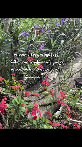 အနားမှာရှိနေဖို့ပဲလိုတာ🫶#fyp #livephoto #moots? #tiktok #girlfriend 