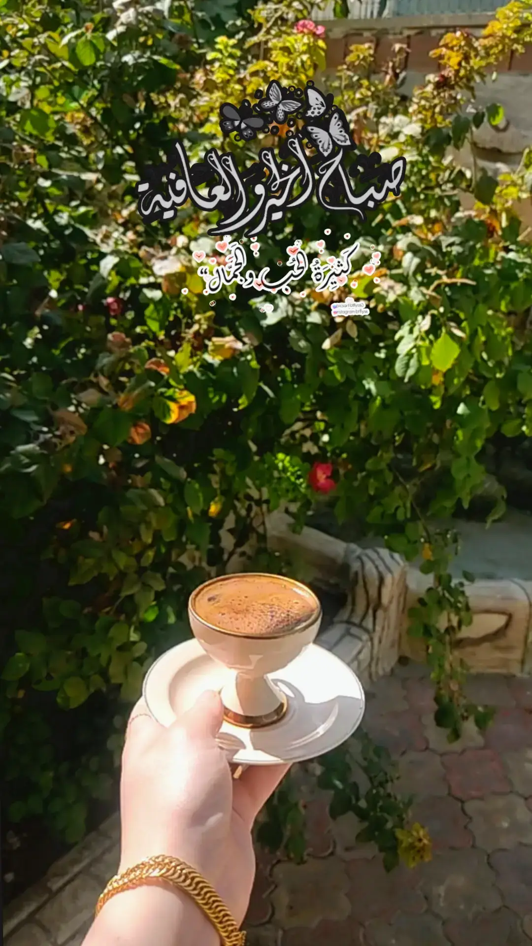 #فيروز_و_فنجان_قهوة #فيروزات_الصباح #صباحكم_أحلى_صباح #قهوتي☕مزاجي☕🍫🎼_معشوقتي #تصويري_احترافي_الاجواء👌🏻🕊😴 