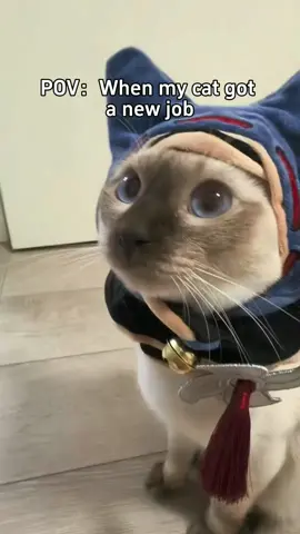 POV:When my cat got a new job #fyp #monsterhunter #cat #cathood #felyne 