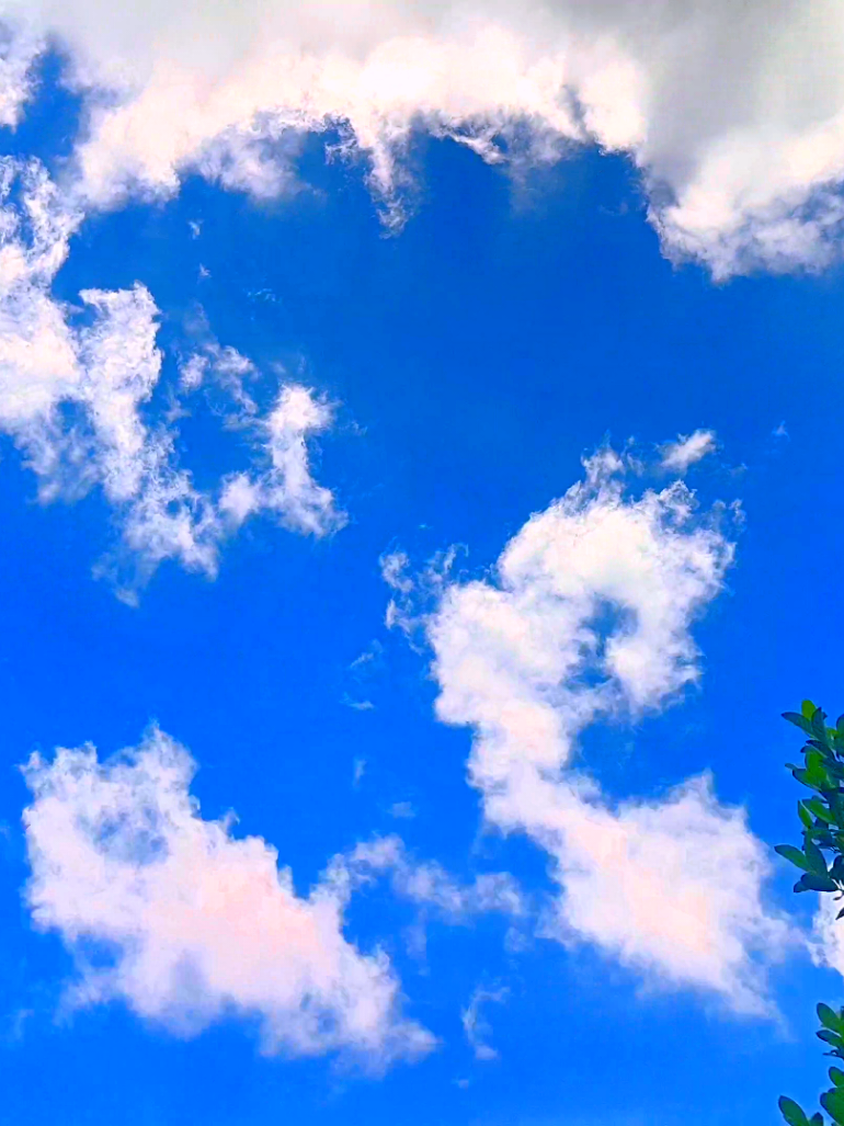 আকাশেও অল্প নীল ☁️❤️‍🩹 #natural #view #sky #music #music #this_song #4k #nature4cx #nature 