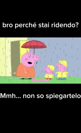 Mi fa troppo ridere #perte #neiperte #viral #peppapig #divertente 