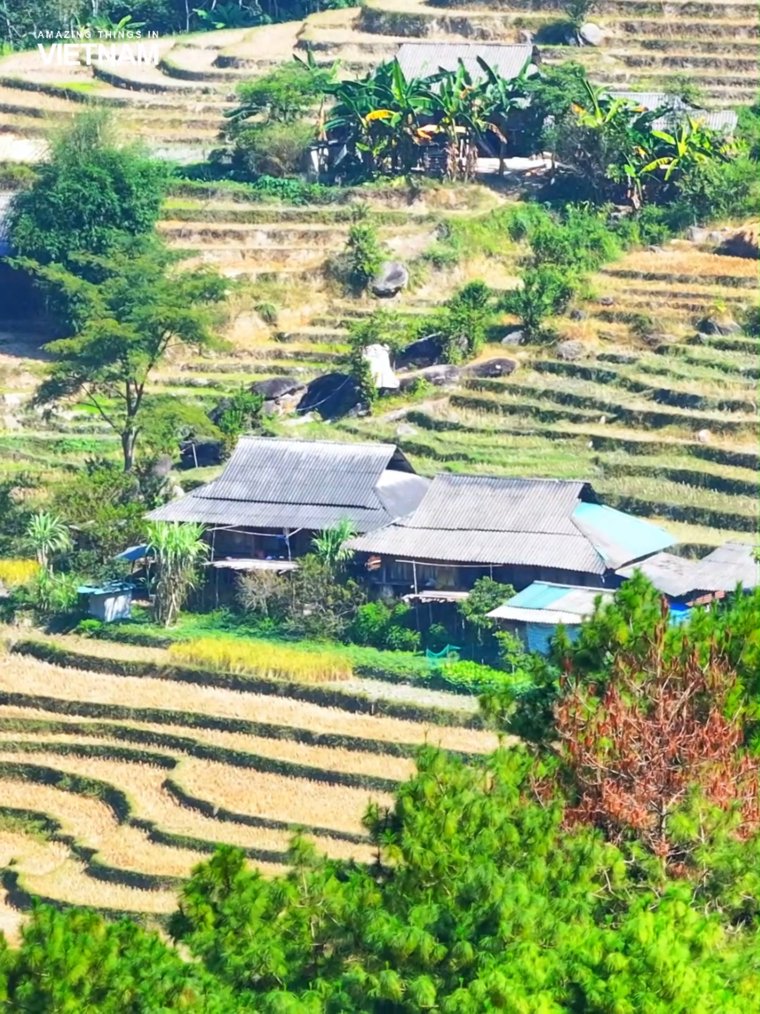 Hoàng Su Phì - Nét đẹp bình yên giữa chốn cao nguyên 😍 #hagiang  #tuyenquang #amazingvietnam #tiktok
